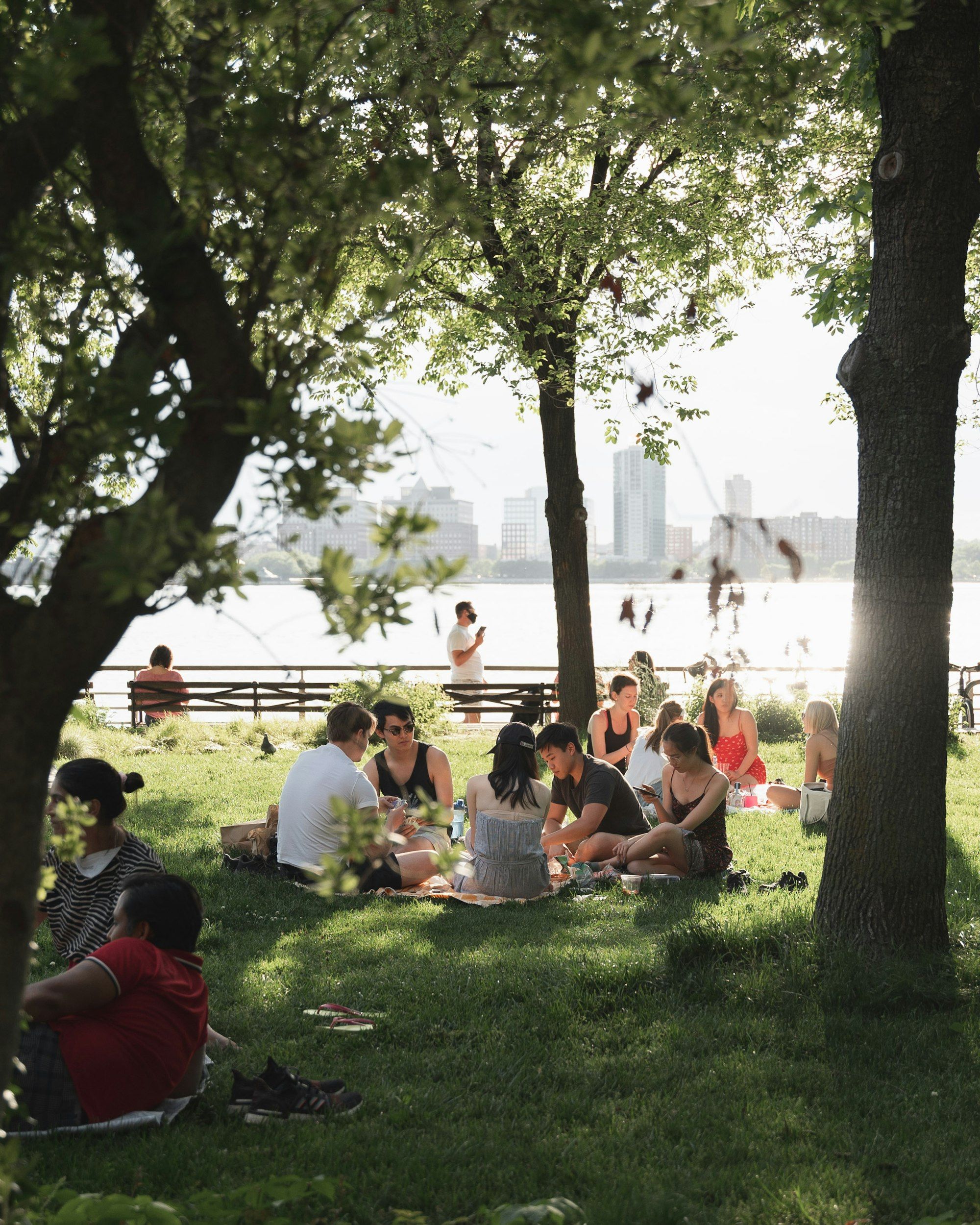 Families picnicking under trees beside the water